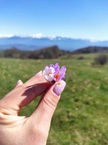 Photo d'ongles